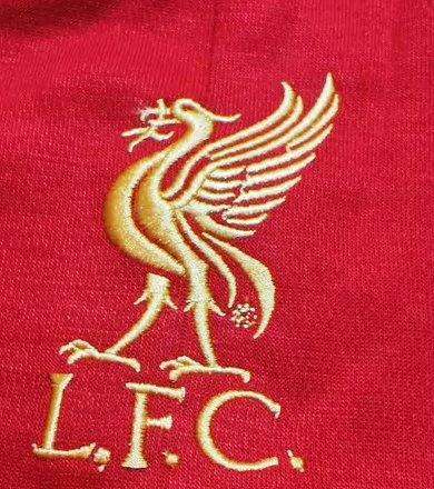 Liverpool 2012-13 Home Kit - Liverbird crest badge